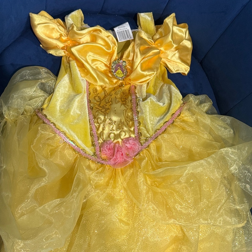 Disney Yellow and Pink Princess Dance Costume
